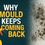 Why Mould Keeps Coming Back: Real Causes why mould comes 1